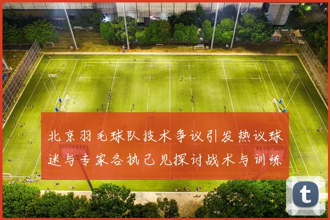 北京羽毛球队技术争议引发热议球迷与专家各执己见探讨战术与训练问题