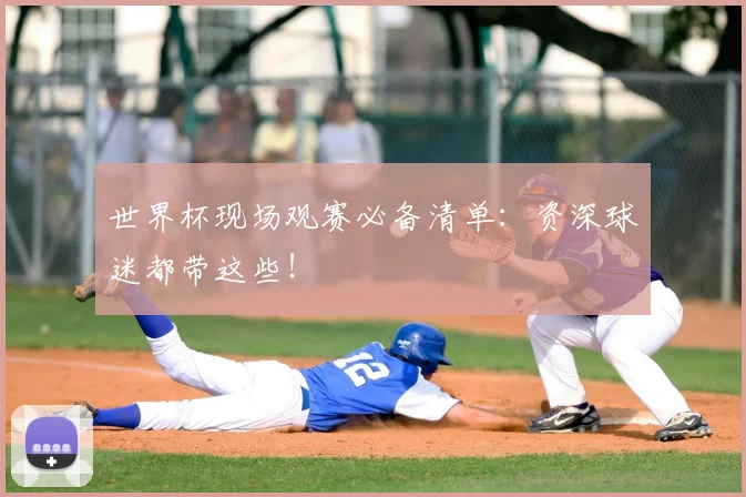 世界杯现场观赛必备清单：资深球迷都带这些！