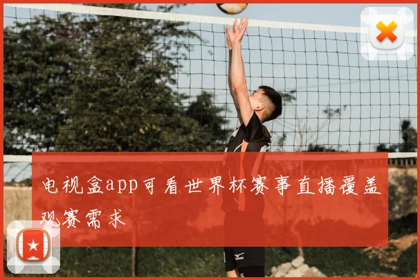 电视盒app可看世界杯赛事直播覆盖观赛需求