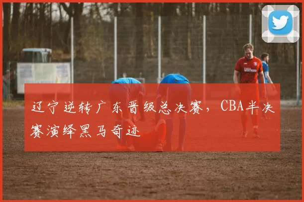 辽宁逆转广东晋级总决赛,CBA半决赛演绎黑马奇迹