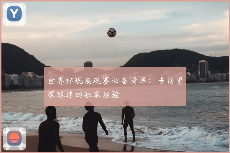 世界杯现场观赛必备清单：专访资深球迷的独家经验