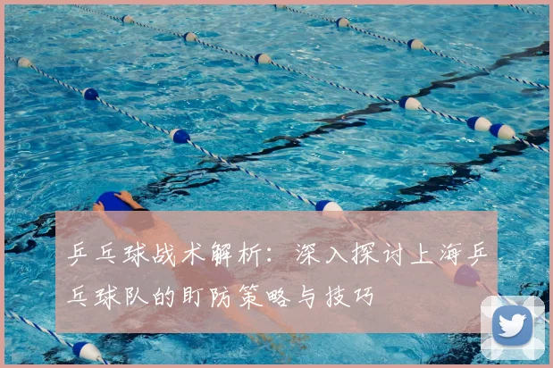 乒乓球战术解析：深入探讨上海乒乓球队的盯防策略与技巧