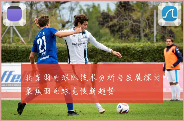 北京羽毛球队技术分析与发展探讨聚焦羽毛球竞技新趋势
