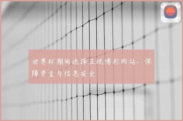 世界杯期间选择正规博彩网站，保障资金与信息安全