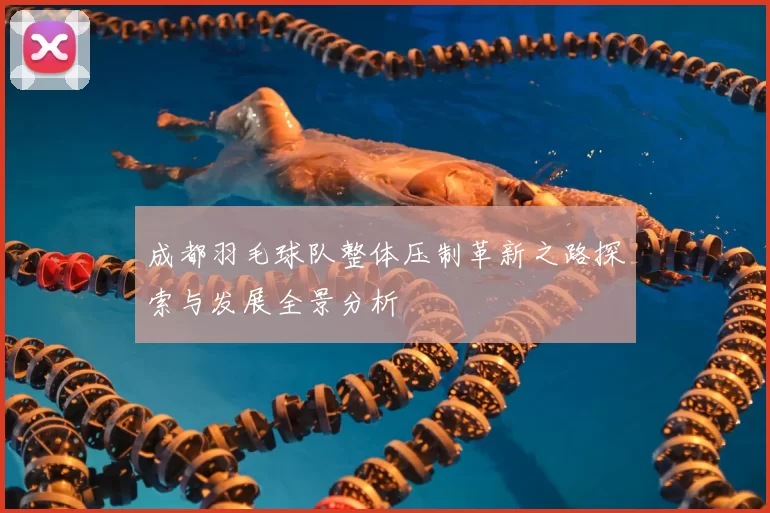 成都羽毛球队整体压制革新之路探索与发展全景分析