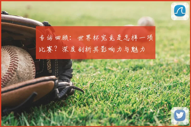 专访回顾:世界杯究竟是怎样一项比赛?深度剖析其影响力与魅力