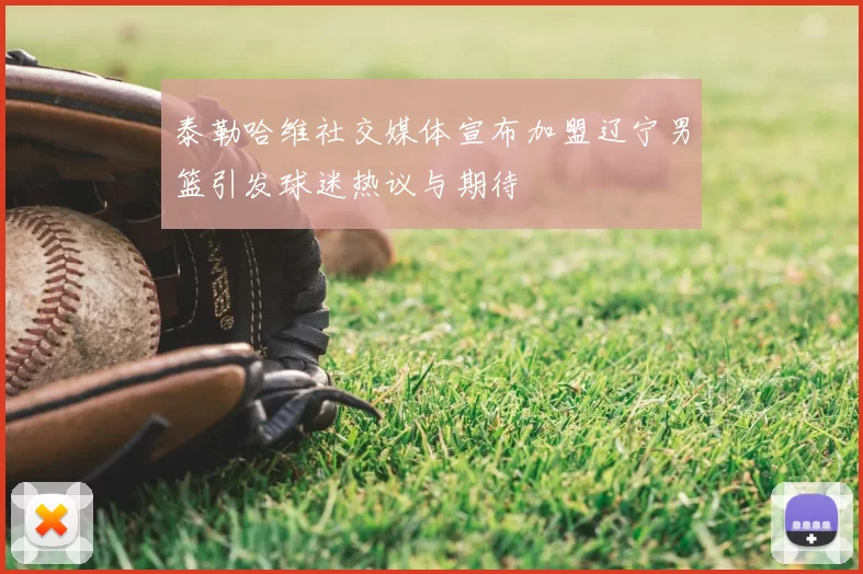 泰勒哈维社交媒体宣布加盟辽宁男篮引发球迷热议与期待