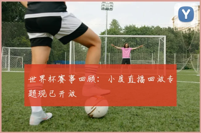 世界杯赛事回顾：小度直播回放专题现已开放