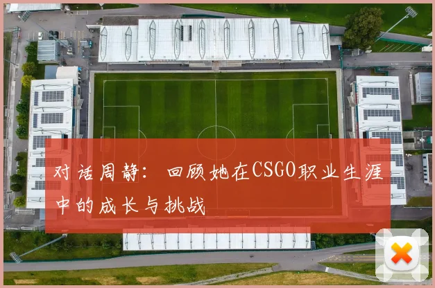 对话周静：回顾她在CSGO职业生涯中的成长与挑战
