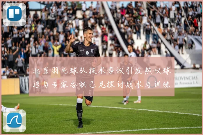 北京羽毛球队技术争议引发热议球迷与专家各执己见探讨战术与训练问题