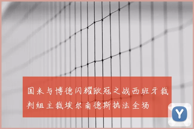 国米与博德闪耀欧冠之战西班牙裁判组主裁埃尔南德斯执法全场