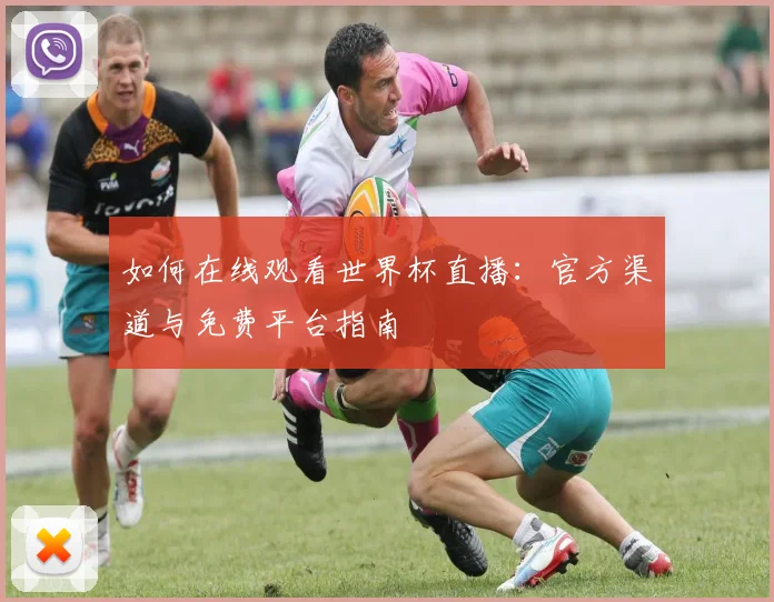 如何在线观看世界杯直播：官方渠道与免费平台指南